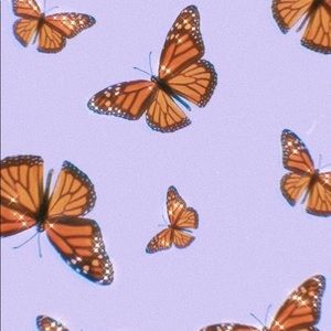 Meet your Posher, Sydney